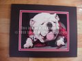 Picture: UGA X Georgia Bulldogs original 8 X 10 photo professionally double matted in team colors to 11 X 14 so that it fits a standard frame.