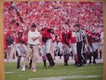 Picture: Jeremy Pruitt Georgia Bulldogs original 16 X 20 poster against Clemson. We are the copyright holders of this image and the quality and clarity is fantastic.