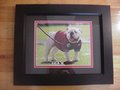 Picture: 2016 UGA X Georgia Bulldogs original 8 X 10 photo professionally double matted in team colors to 11 X 14 and framed in very nice black wood to 14.5 X 17.5.
