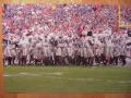 Picture: Georgia Bulldogs Panoramic "Celebration" 12 X 18 photo print. You can see the stunned looks of the Florida fans in the background! 